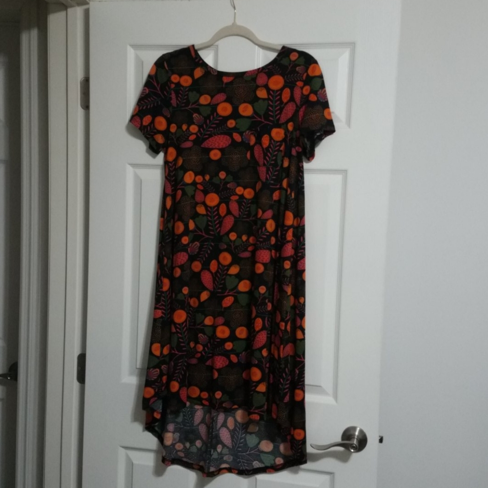 Lularoe carly